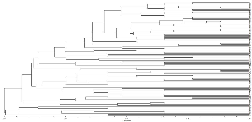 W.W. Hou et al. 13950 software (Tamura et al., 2007). The results showed that 101 faba bean accessions were divided into six major groups (Figure 2). Figure 2.