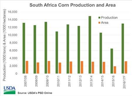 South Africa: 2016/17 Corn and Expected to Increase South Africa s corn production for 2016/17 is forecast at 13.0 million tons, up 6.