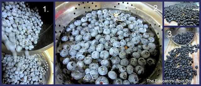 Cleaning and Storing Blueberries!