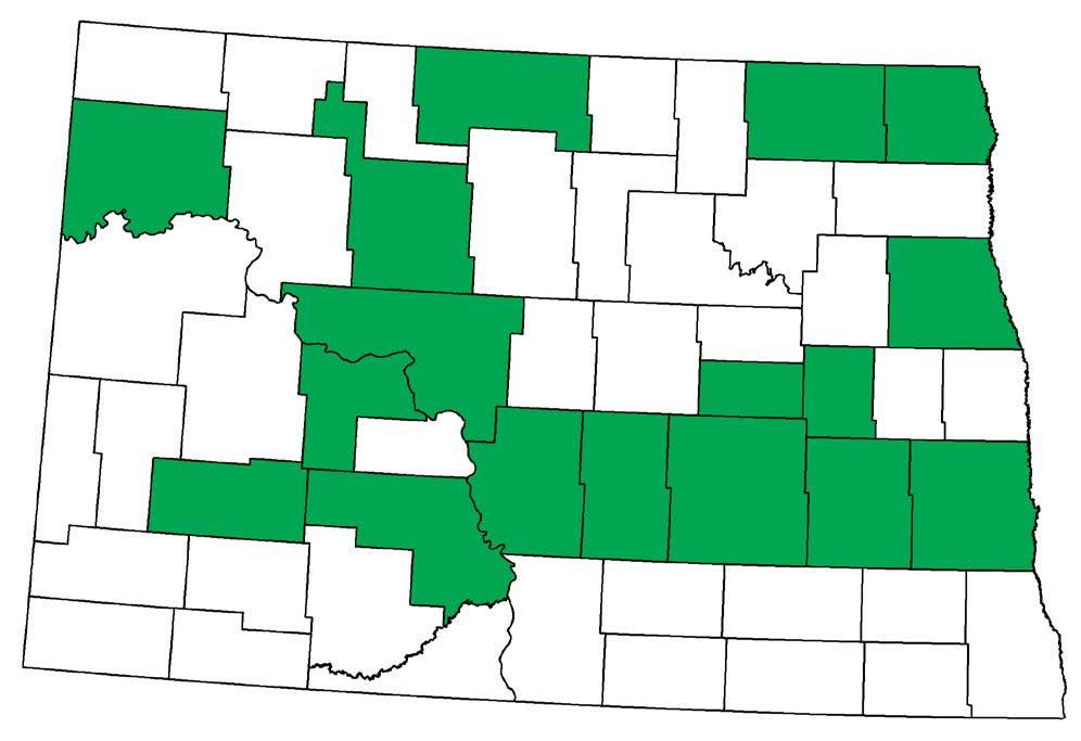 Since 2013, SWD was found in 17 counties in North Dakota (Figure 7). To date, the SWD has infested grape, raspberry, Saskatoon Serviceberry, tart cherries and strawberry in North Dakota.