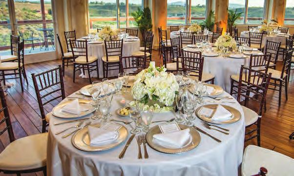 Falkner Winery Inclusive Beverage Package The Pinnacle Wedding Proposal is a vineyard ceremony site surrounded by sweeping vineyard views, white rose gardens, cypress trees and jasmine archways.