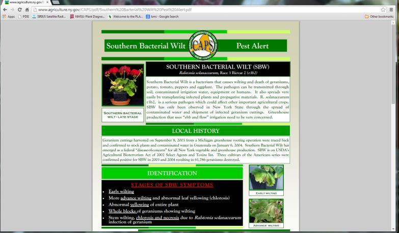 For More Information on Southern Bacterial Wilt http://www.aphis.usda.gov/plant_health/plant_pest_info/ral stonia/index.shtml http://www.apsnet.