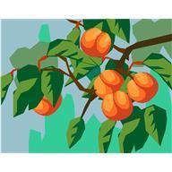 Common Fruits to Juice Cont. 2. Apricots: Good source of potassium, magnesium, iron, carotenes.