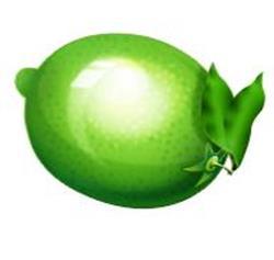 Common Fruits to Juice Cont. 8. Limes: High in vitamin C.
