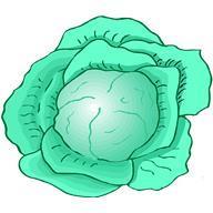 Common Vegetables to Juice Cont. 2. Cabbage: In the cruciferous family which is known for its anti-cancer properties. Research has shown cabbage to be affective for colon and breast cancer.