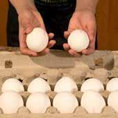 Eggs are an inexpensive source of