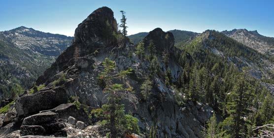 The Klamath Mountain Region Russian Wilderness Russian Wilderness 18 conifer species in one square mile!
