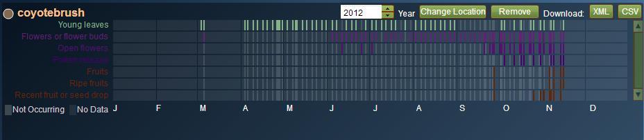 (8) Coyotebrush: 2012 observations at JOMU are summarized in the USA-NPN visualization tool below. Note absence of data collection in January, February, late November, and December.
