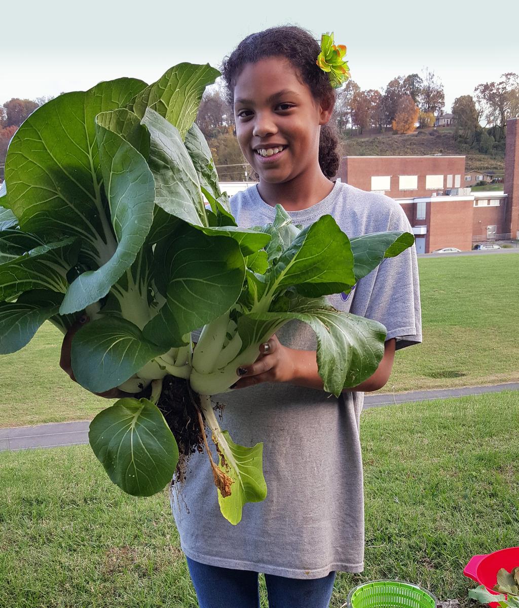 W 362-D YOUTH GARDENING IN TENNESSEE: TEN FAVORITE PLANTS FOR YOUTH GARDENERS IN