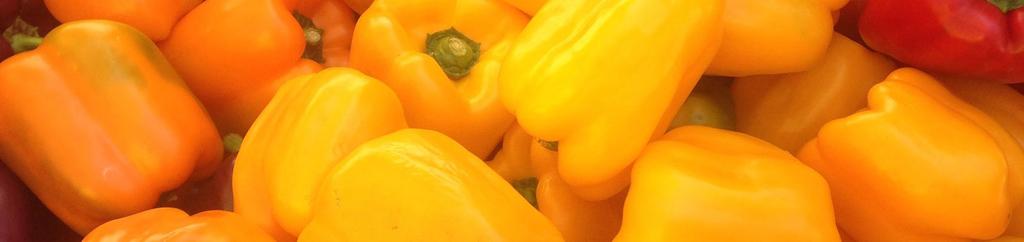 Mini Bell Pepper WHAT IS A MINI BELL PEPPER? Mini bell peppers (Capsicum annuum) are sweet, mild-flavored peppers. Mini bell peppers come in many colors like green, yellow, orange and red.