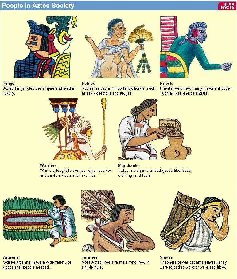 AZTEC SOCIAL CLASSES THE AZTEC WERE LED BY STRONG EMPERORS WHO ALSO CLAIMED TO BE DESCENDANTS OF THE GODS.