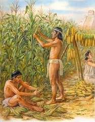 FARMING LED TO THE GROWTH OF EACH OF THESE CIVILIZATIONS.
