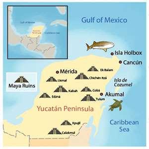 THE MAYANS CREATED A SOPHISTICATED NETWORK OF CITY-STATES WITH A KING AND MILITARY FORCES OUT OF THE YUCATAN PENINSULA RAINFOREST SUPPORTED IT WITH AGRICULTURE AND TRADE.