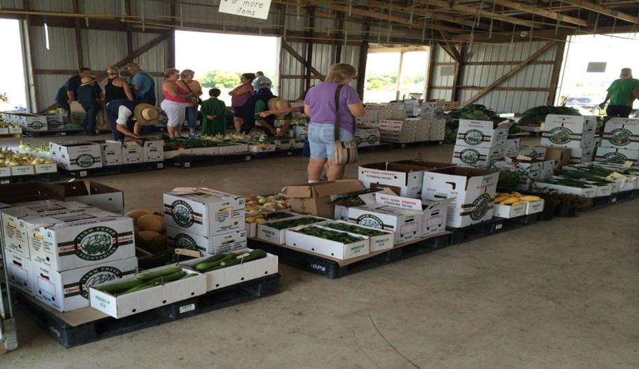 Update 5 Muck Crop Update 6 Hops Field Day at Marysville, Ohio 7 Hops Production Twilight Tour at Piketon, Ohio 8 Hops Field Night at Cleveland, Ohio 9 About the Editor 10 Hardin County Report from