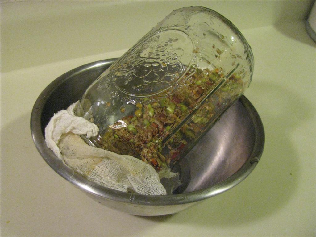 This is a picture of how to drain the seeds between rinses.