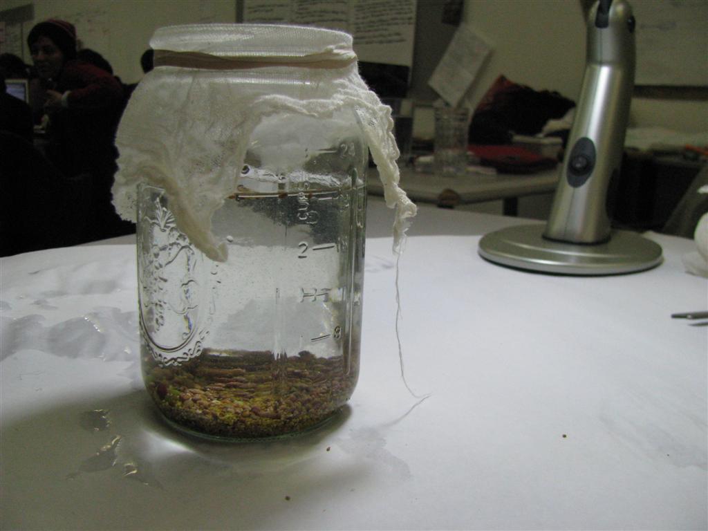 6) Cover top of jar with