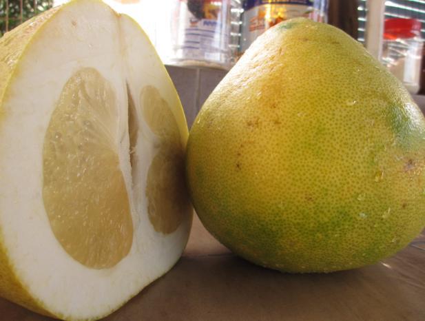 It is most likely from Malaysia, Thailand and Indonesia where it is found in the wild. Belongs to Rutaceae family. Description Pomelo is the largest citrus fruit, 15-25cm in diameter.