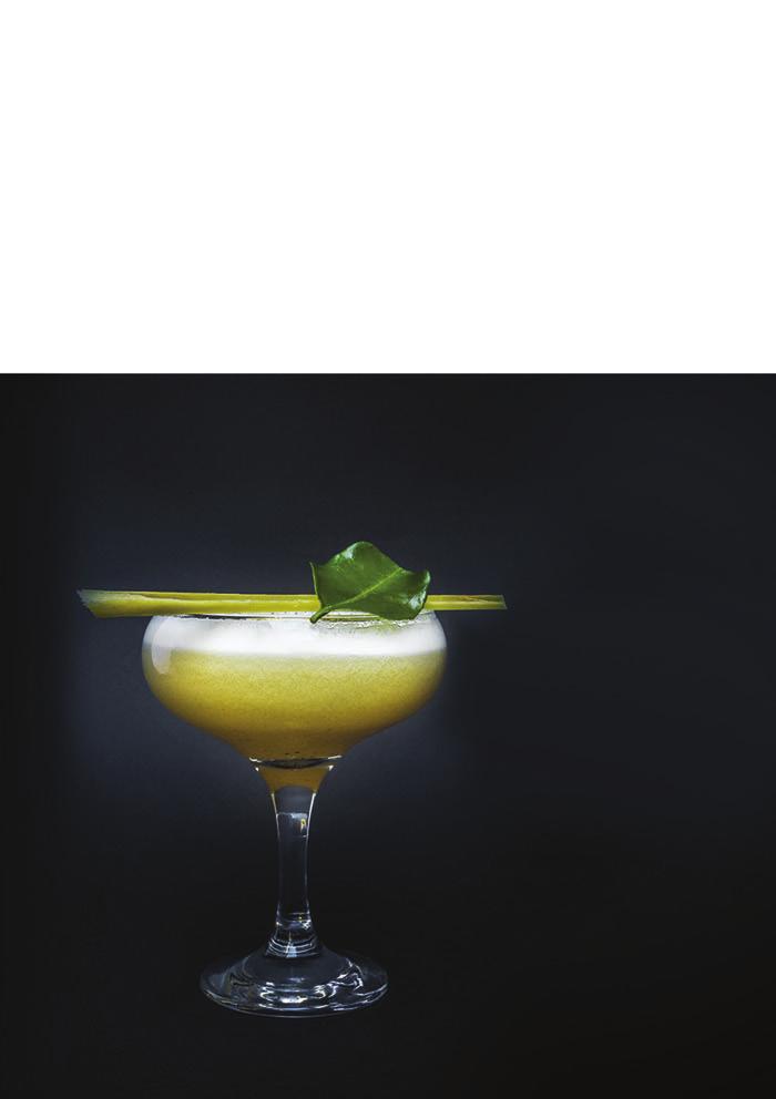Orient TASTE TASTE: oriental, with a hint of lime 40 ml Dictador Amber, 2 tablespoons bartender roasted apples, 40 ml of apple juice, 15 ml of the syrup cinnamic, 20 ml lemon juice, 20 ml of egg