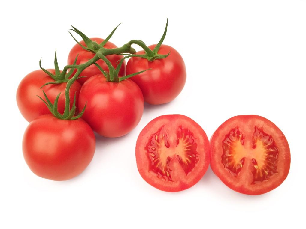 HTL1505400 F1 Hybrid tomato Cluster big tomato Pruning 5 fruits per cluster 130 160 gram HR: ToMV:0,1,2 / Ff:A-E / Va:0 / Vd:0 /