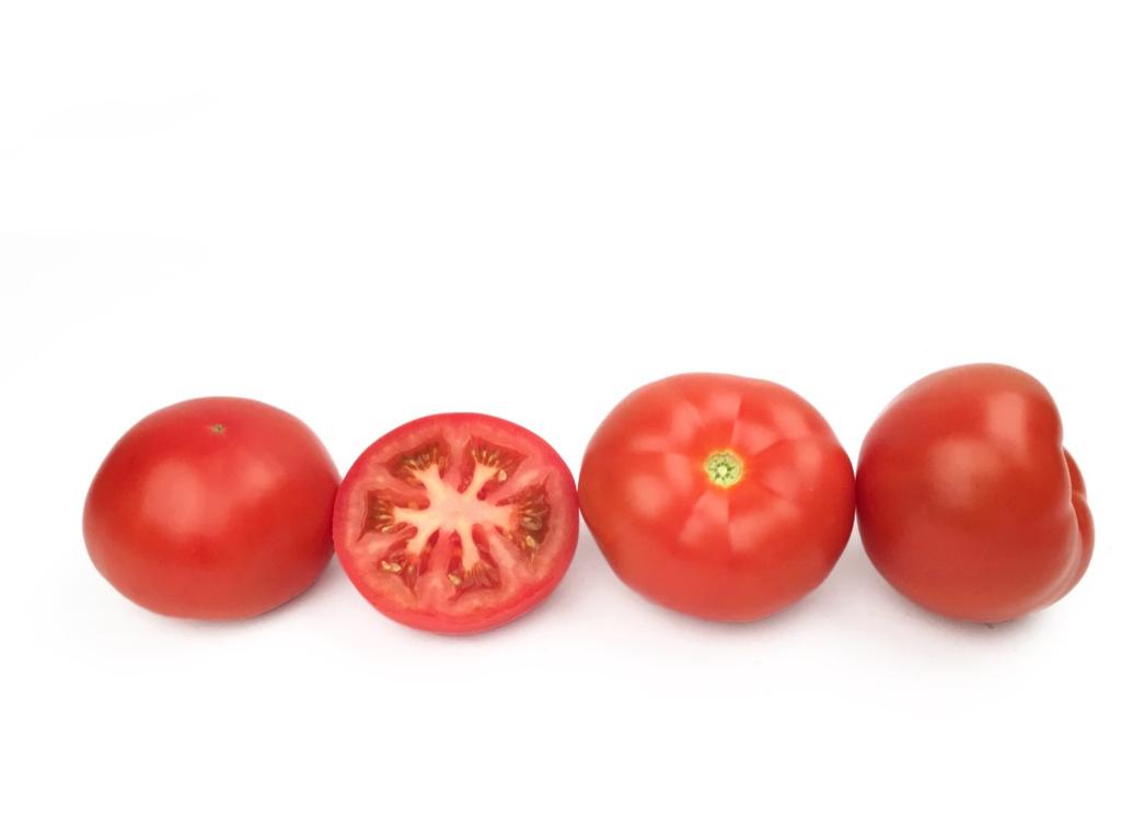 HTL1504377 F1 hybrid tomato Small beef tomato for loose harvest 160 190 gram HR: ToMV:0,1,2 / Ff:A-E / Va:0 / Vd:0 / For IR: On Fruit shape flat