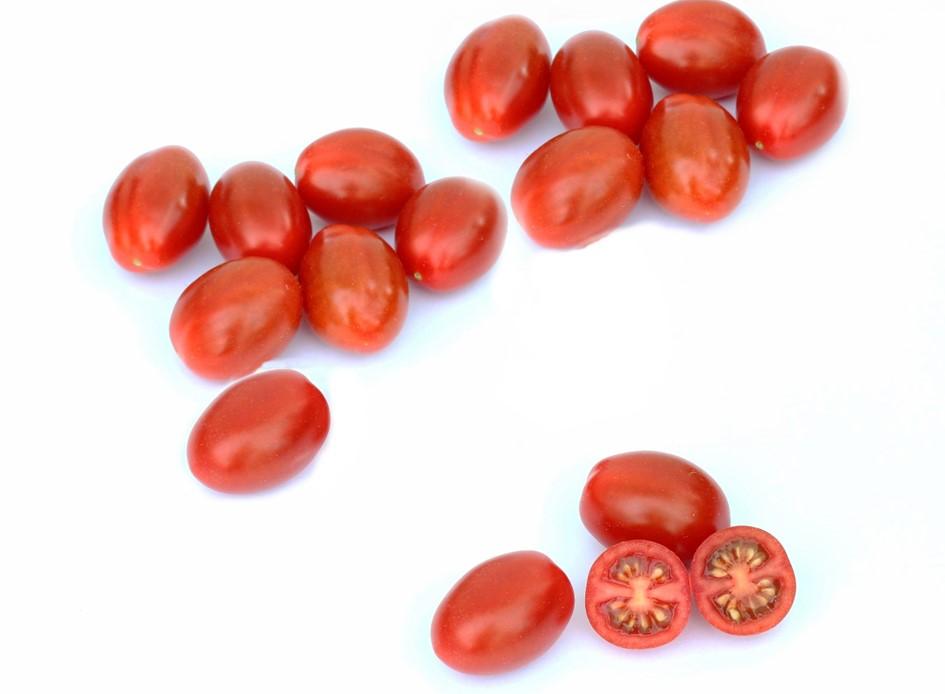 AX7930 HTL1307930 Mini plum tomato for loose picking 12 16 gram HR: ToMV:0,1,2 / Fol:0,1 IR: Tylcv / Ma/Mi/Mj