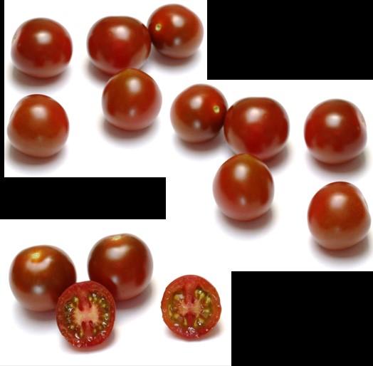 Villax HTT1450462 Brown cherry tomato for loose