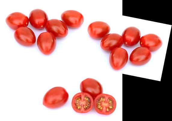 HTL1410152 F1 hybrid tomato Mini plum tomato for