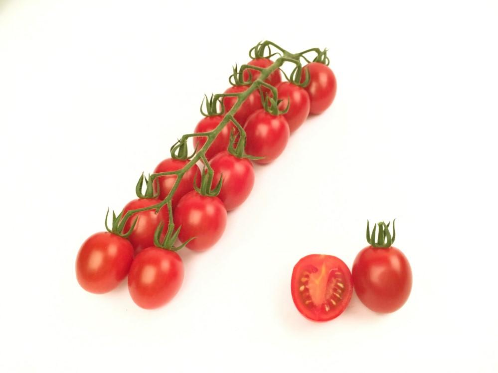 Specialty 15-30 g HTL1606150 F1 hybrid tomato Cluster plum cocktail tomato 12-14 fruits per cluster 20 30 gram HR: ToMV:0,1,2 / Ff:A-E / Va:0 / Vd:0 /