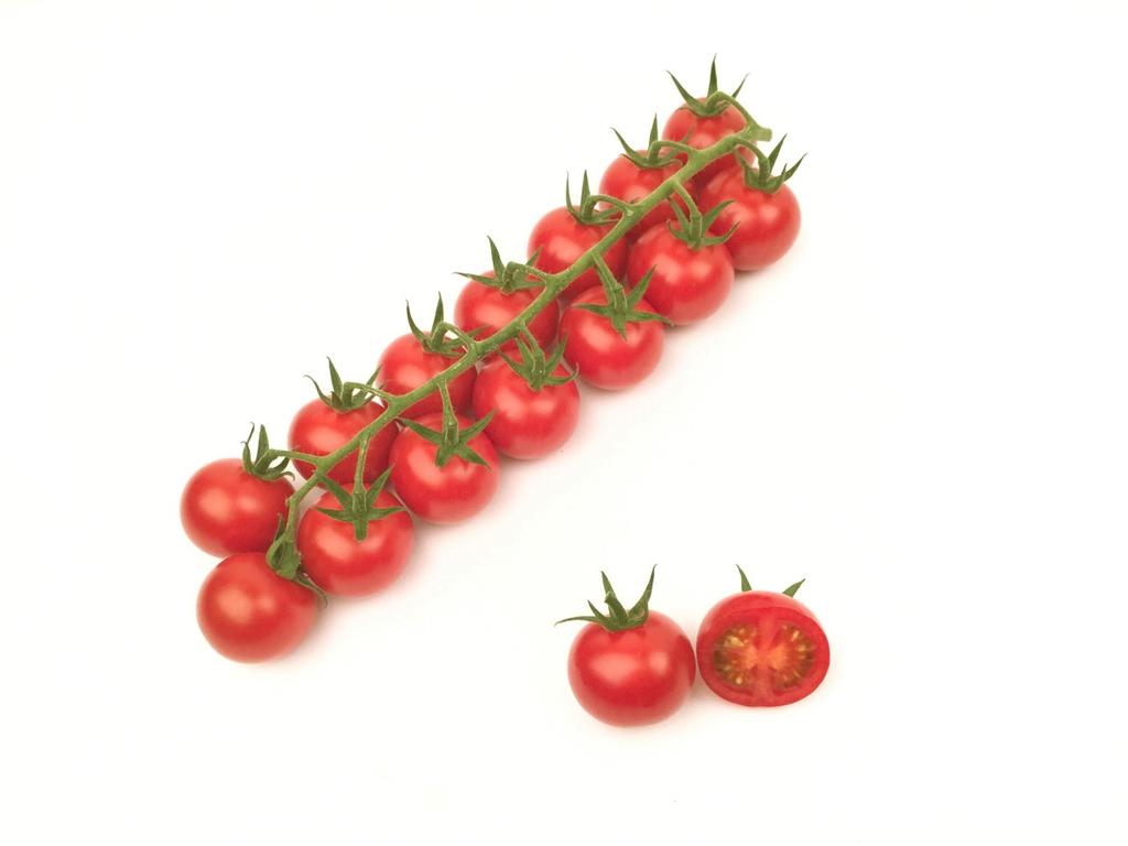 HTL1606008 F1 hybrid tomato Cluster cherry tomato 12-14 fruits per cluster 16 20 gram HR: ToMV:0,1,2 / Fol:0 IR: On / Ma/Mi/Mj