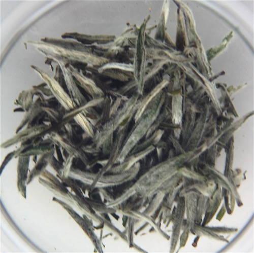 Tea Buds - Low in chlorophyll - Non fermented -