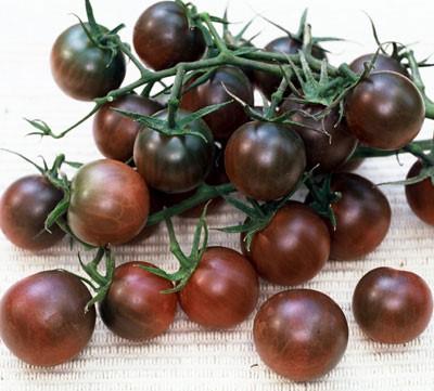 ideal cherry size (15-20 gm.) for harvest and snacking.