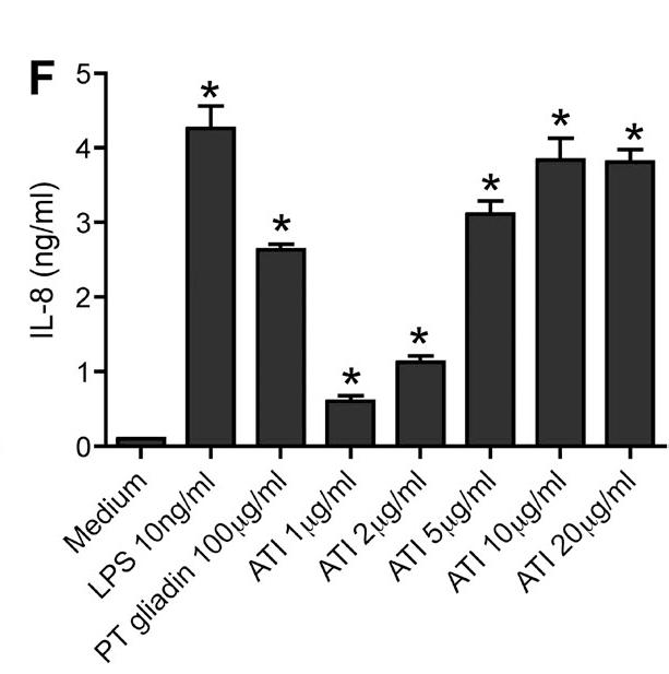 Non-gluten α -Amylase/Trypsin Inhibitor (ATI) family are strong activators of innate immunity.