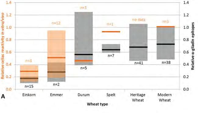 Values reported in the literature within and among wheat types for celiac reactivity Molberg and others