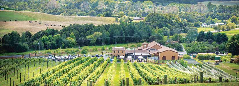 YOUR BEST CHOICE FOR A CORPORATE EVENT ASCENSION WINE ESTATE Leave the city for a new corporate & events destination.