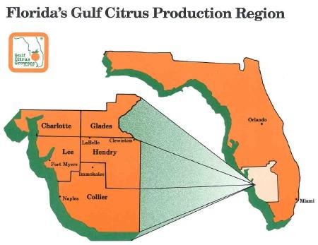 When citrus-related stories appear in the local papers, chances are that a board or staff member of the Gulf Citrus Growers Association has been consulted or quoted.
