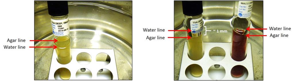 Figure 2. Water levels for melting agar. The picture on the left shows that the agar line is above the water line. There is not enough water.