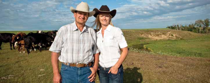 BERN AND KIRSTIN OF SPRING CREEK RANCH IN VEGREVILLE, ALBERTA. TRUSTED SUPPLIERS OF FRESH ALBERTA BEEF.