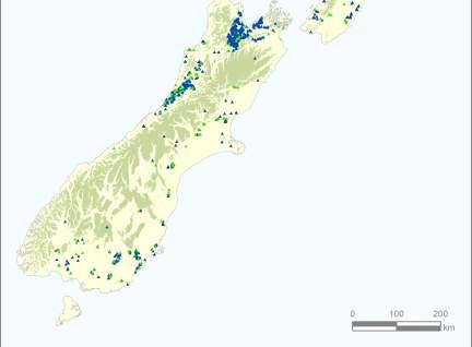 Fig. 4 Distribution of Dothistroma in New Zealand in May 2008 Disease development Asexual spores are produced in fruit bodies and are primarily dispersed by splash of