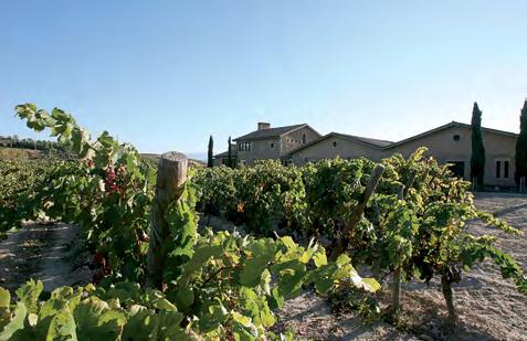 Its wines, mostly aged Reservas and Grandes Reservas, are all product of their 110 hectares of vineyards, some of the