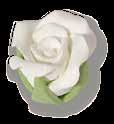 Roses, small White appr.