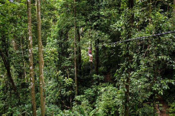 Check out the map here to choose a zip lining experience near the area you ll be visiting.