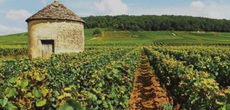 Wines of Halkidiki Halkidiki has a rich history and mythology, with roots that