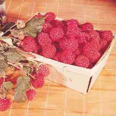Fall or Ever-bearing Varieties Recommended Varieties Red Raspberry and Yellow come in 2 types: Summer Bearing Fall