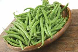 Beans 1 9 Tender,