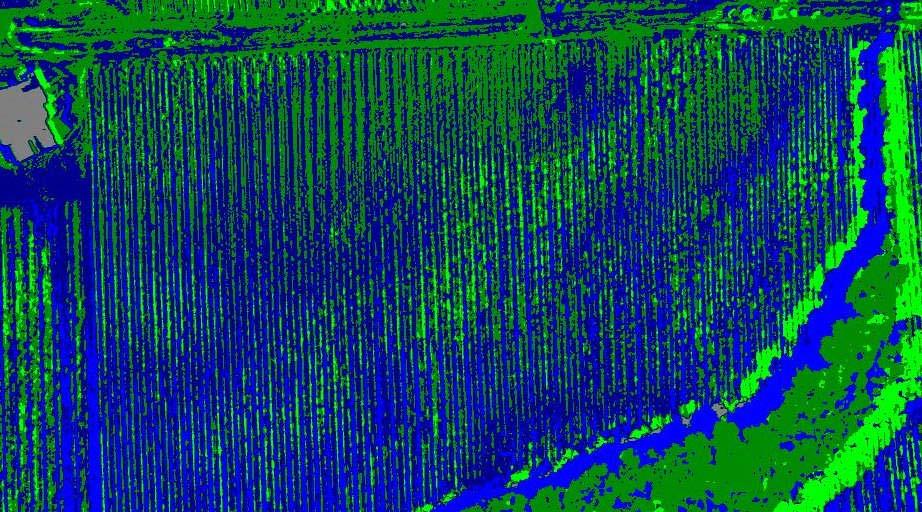 Change in NDVI shows canopy development from July 20 to August