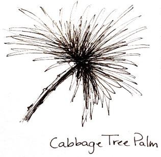 52 P age 6e. Cabbage Tree Palm (Livistonia australis) Known as daranggara to the Eora people of Sydney when the First Fleet arrived.