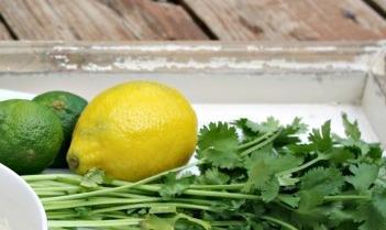 ODOR ELIMINATOR The aroma of juicy lime and lemon zests with hints of herbal cilantro.
