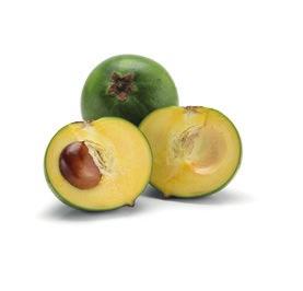 LIOGEL LUCUMA Also known as the Gold of the Incas, Lucuma is the fruit of a tree that grows in Peru, Chile and Ecuador.