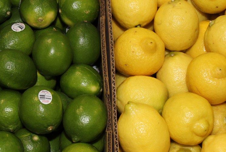 Mexican Organic Lemon supplies are expected to begin in early May with a larger crop expected and high prices due to the limited domestic fruit. ALERT!