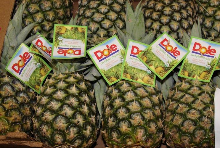 April 28 - may 5, 2017 MARKET NEWS 17 17 FOUR SEASONS PRODUCE OG PINEAPPLES Organic Pineapples are in great supply.